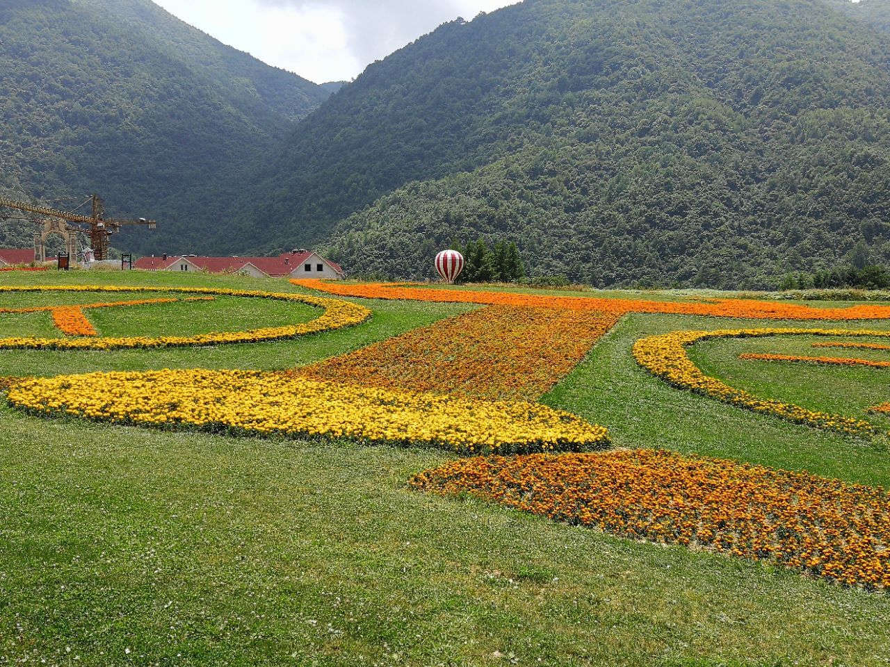 重庆巫溪：红池坝云中芝樱“花开成海”