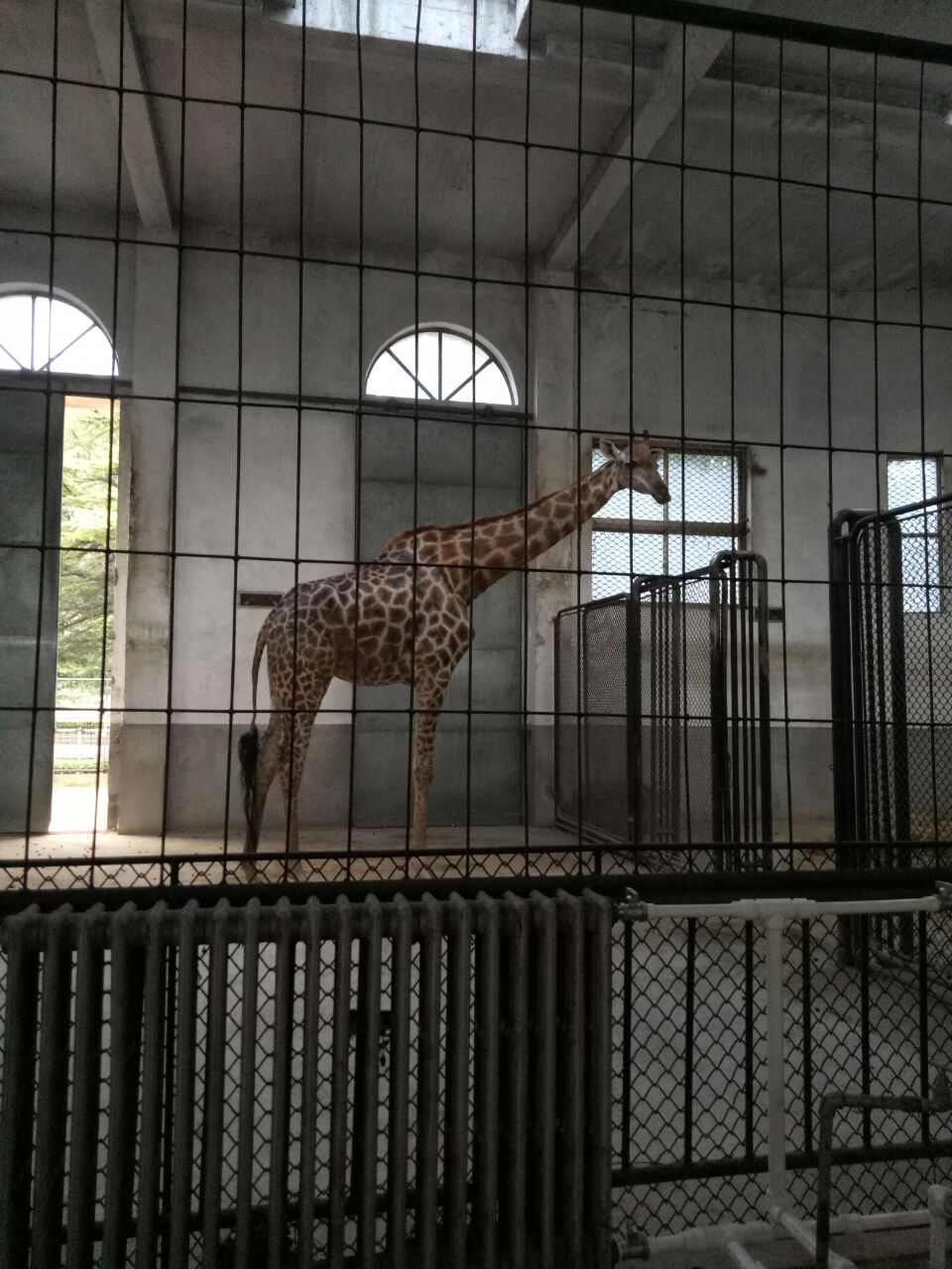 保定市動物園