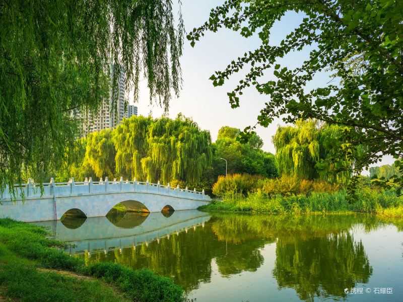 郑州市西流湖公园图片