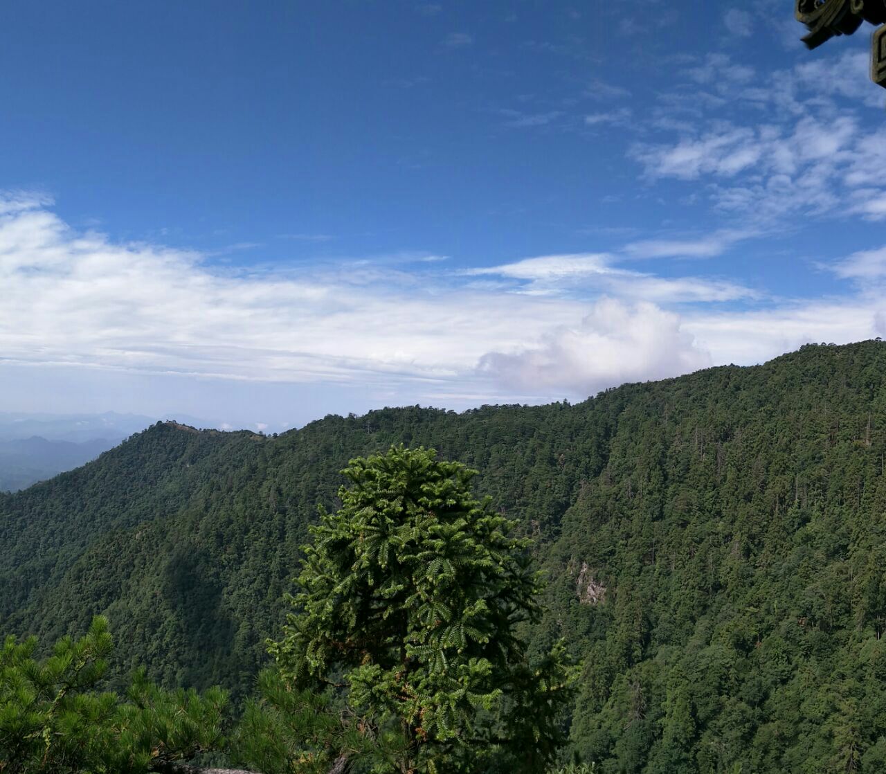 2020天目山景區-旅遊攻略-門票-地址-問答-遊記點評,天目山旅遊旅遊景