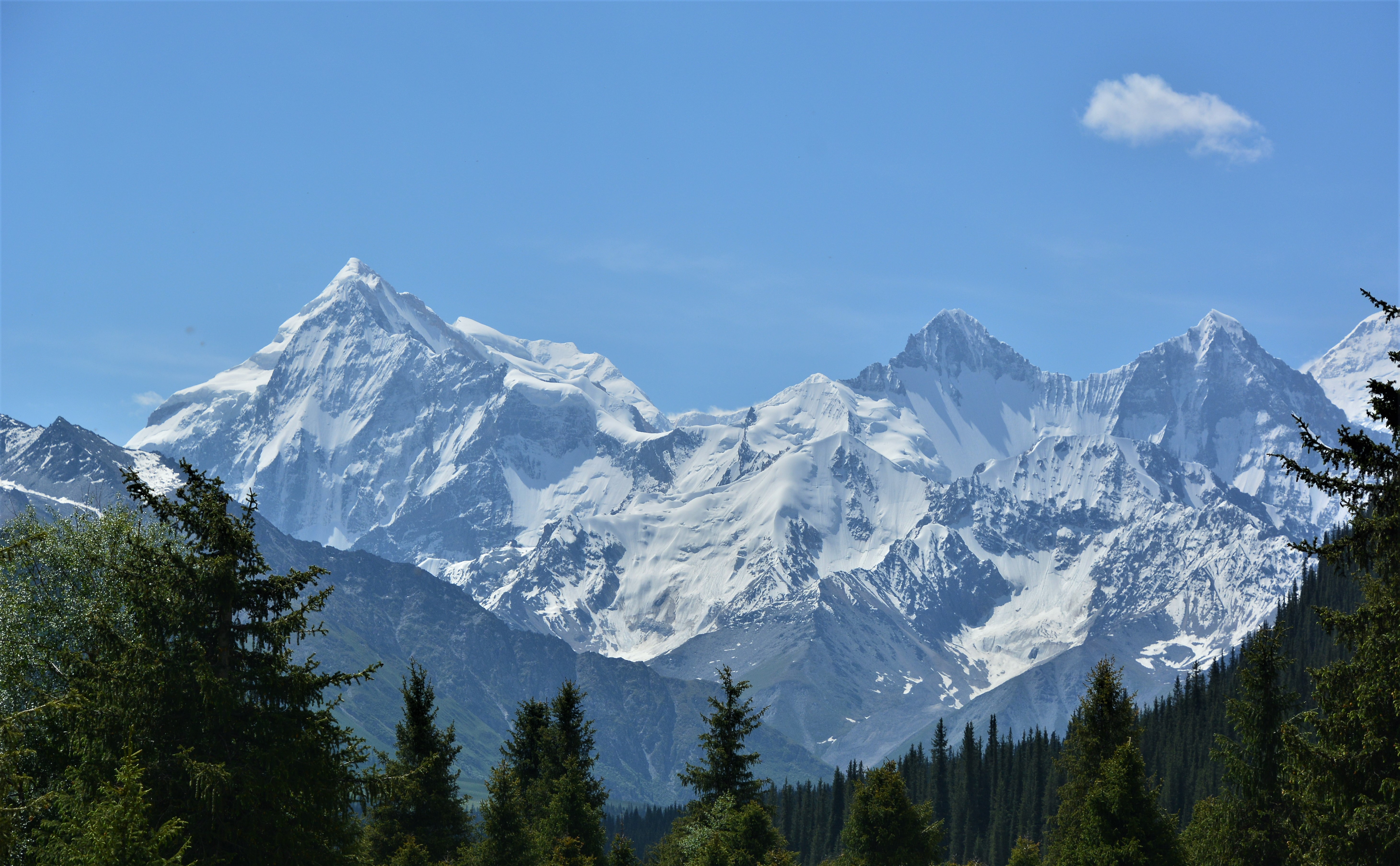 新疆伊犁 草原--这个夏天味道有点不一样(10天9晚)
