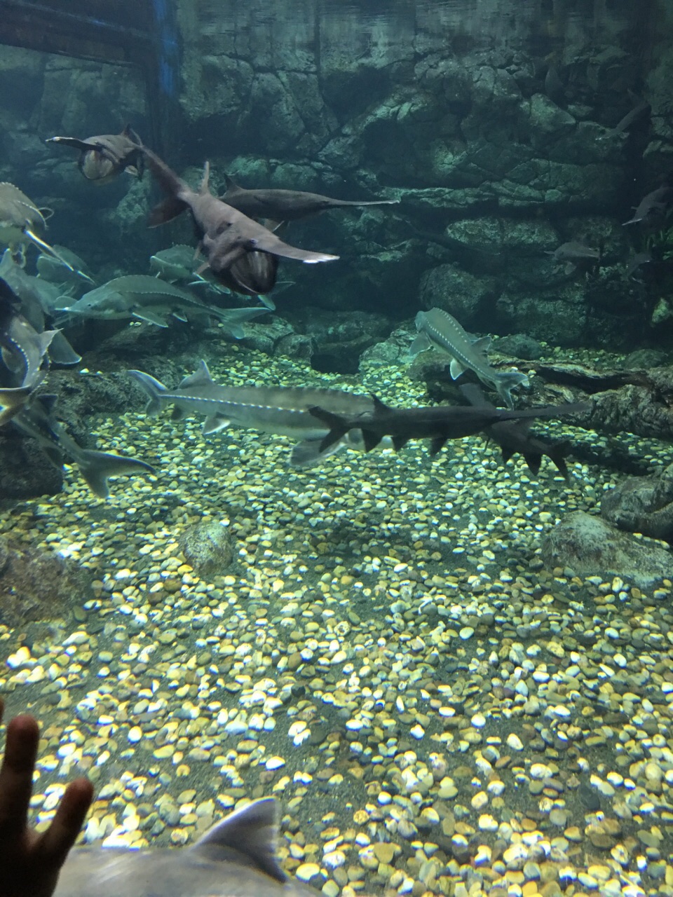 南昌万达海洋乐园