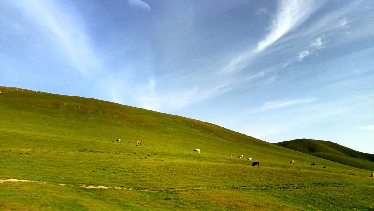 贡格尔草原位于内蒙古自治区赤峰市克什克腾旗的西北,西南部,现在还在