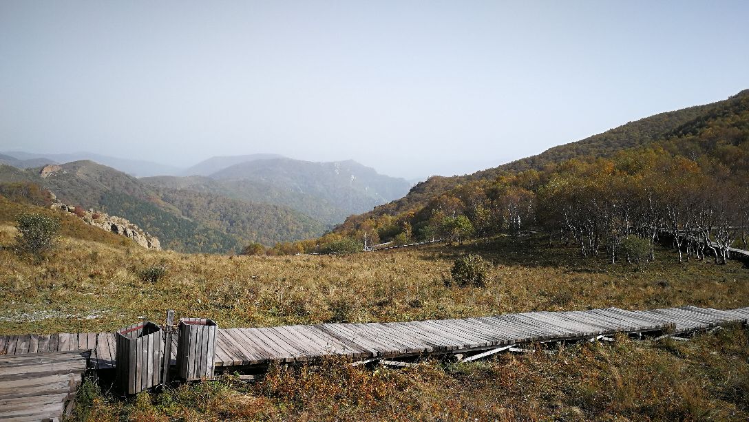 茅荊壩原始森林谷