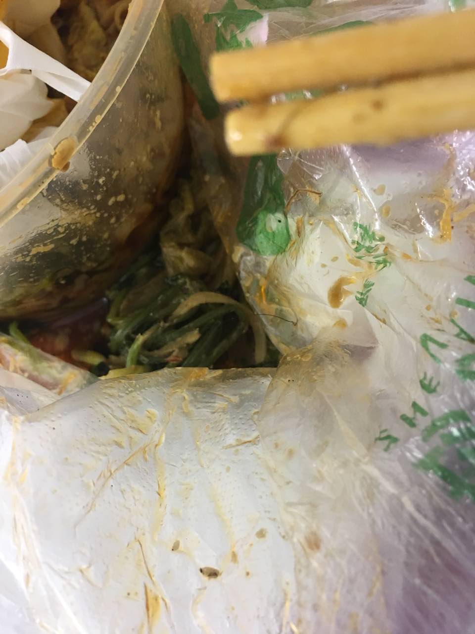 我真的要疯了,麻辣烫撒了我就不说了,里面还有头发,那么长,够了等了