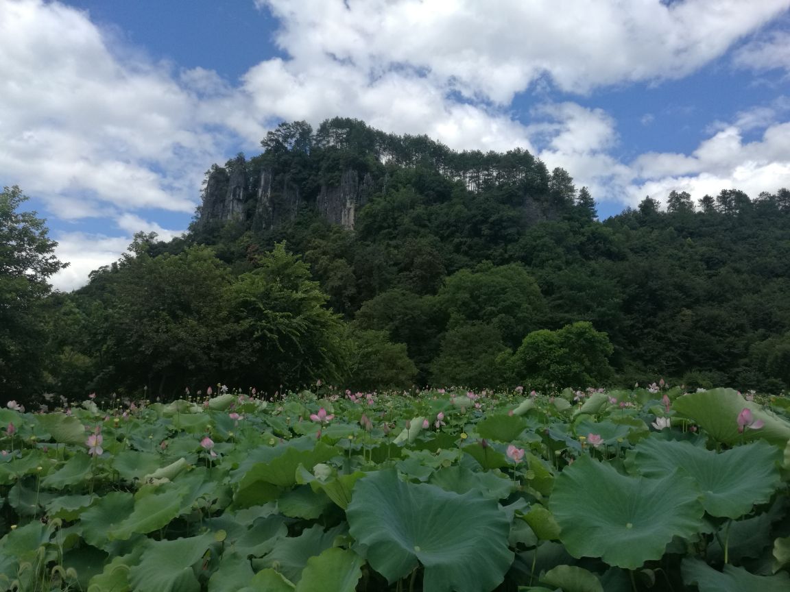 黎平石龍山景區攻略,黎平石龍山景區門票/遊玩攻略/地址/圖片/門票