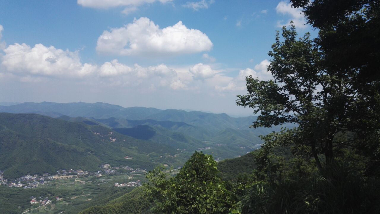 莫干山武陵村景区图片图片