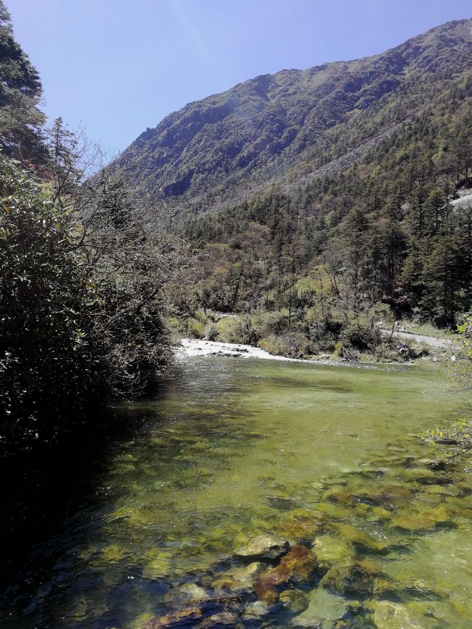 木格措旅遊景點攻略圖