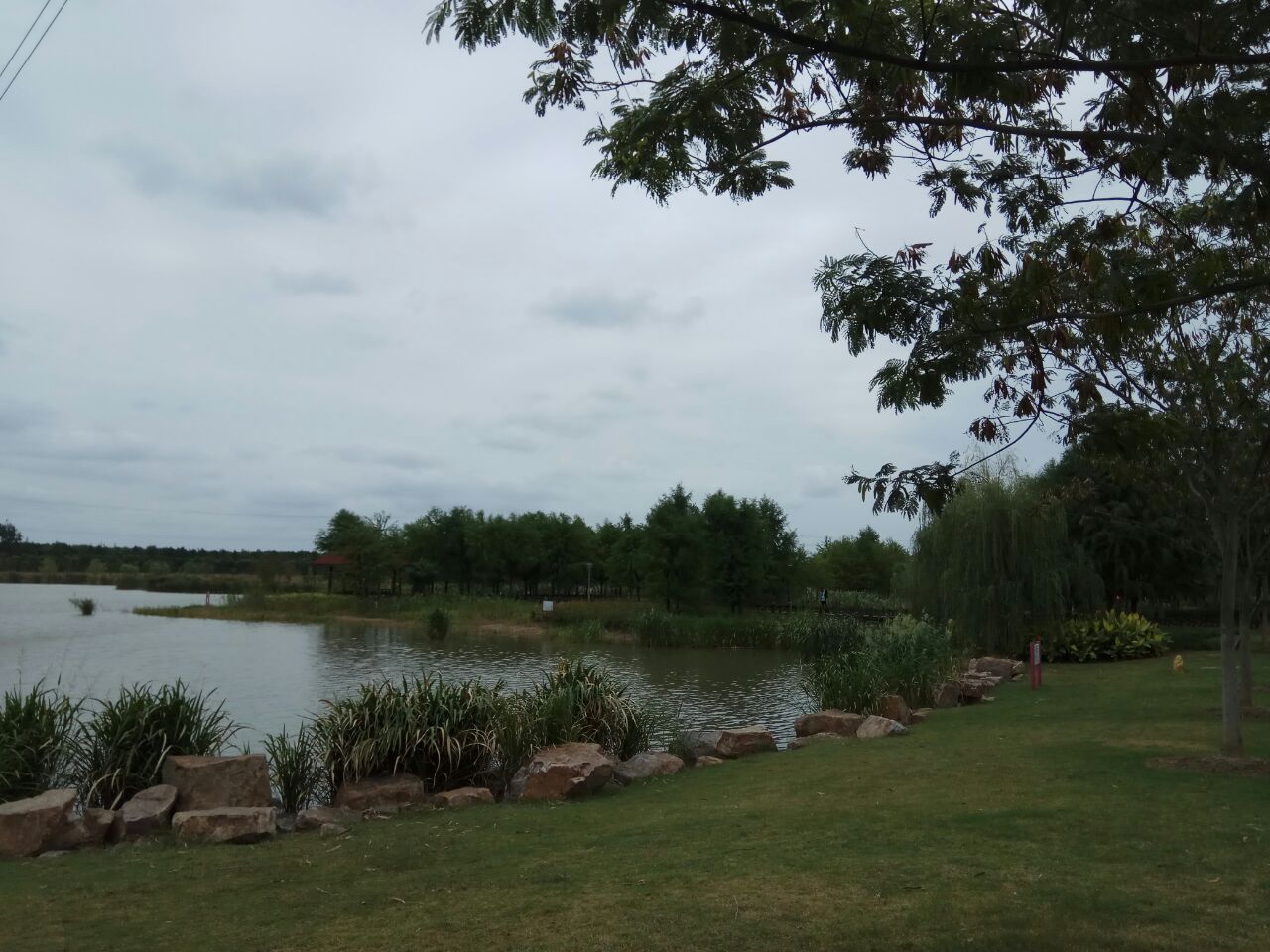 康桥生态园沔青绿地