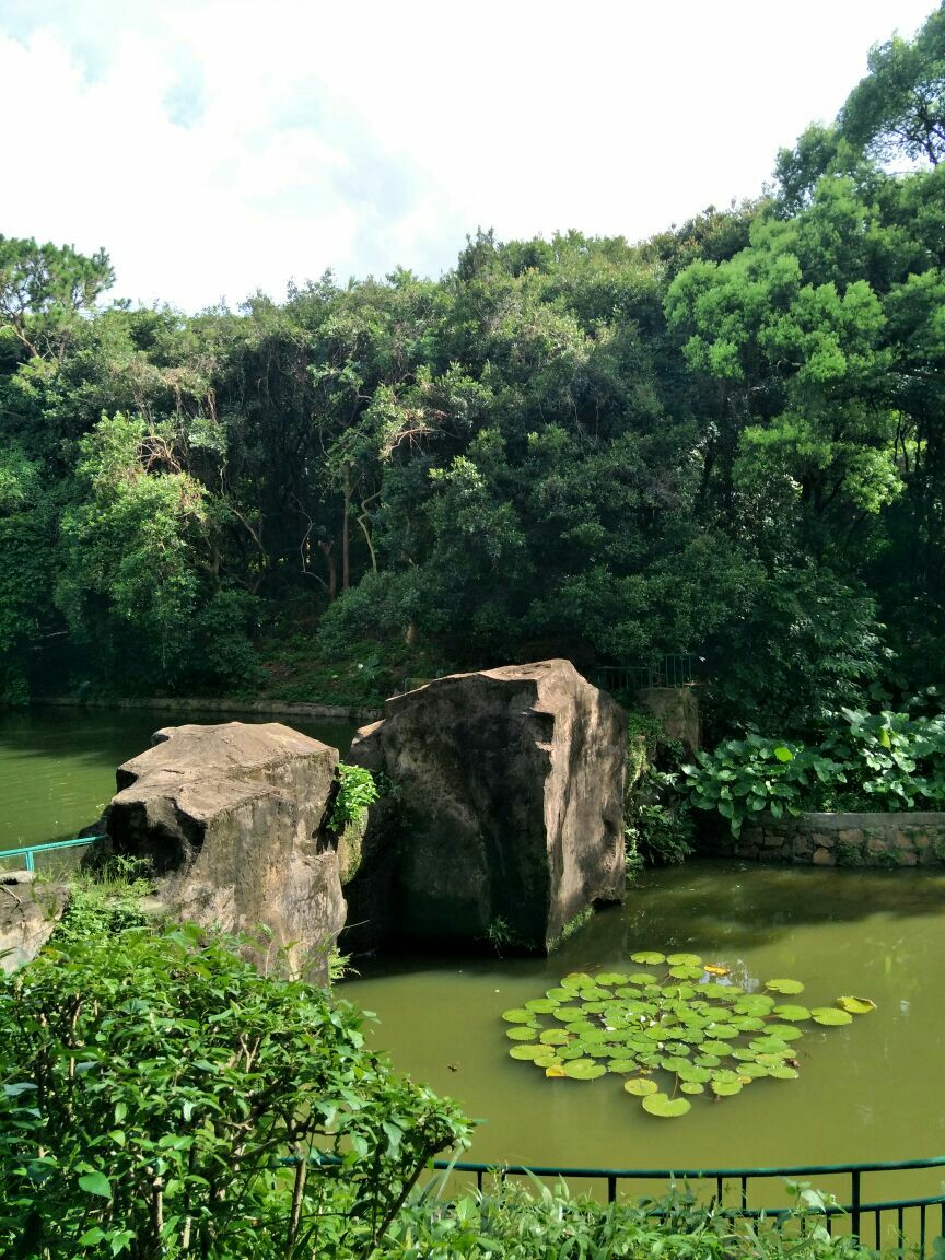 中山紫馬嶺公園好玩嗎,中山紫馬嶺公園景點怎麼樣_點評_評價【攜程