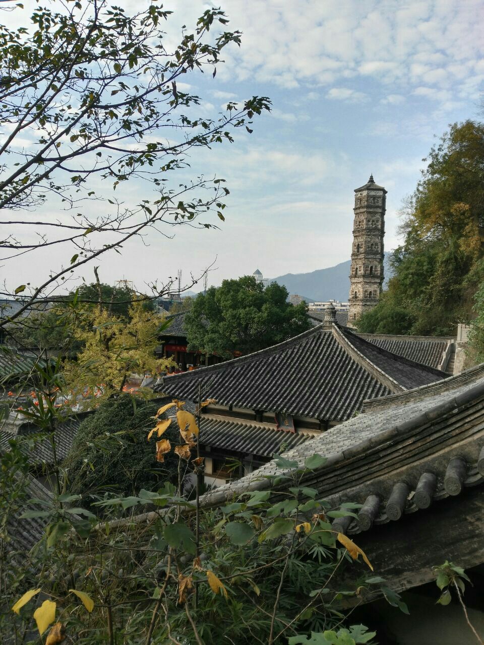 温州龙兴寺图片