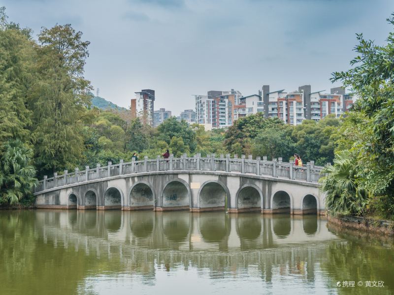 深圳四海公園遊玩攻略-四海公園門票多少錢/價格表-團購票價預定優惠