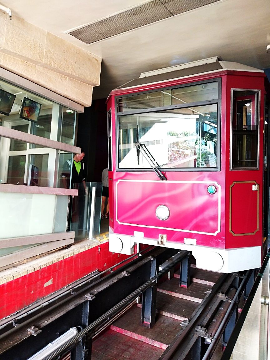 香港電車叮叮車