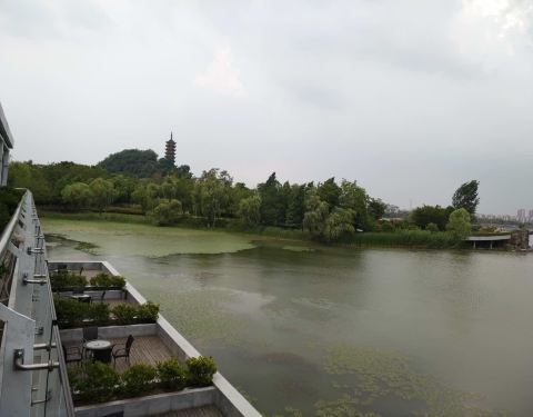 2018龙景国品饭店攻略,镇江龙景国品饭店美食推荐,点评/电话/地址