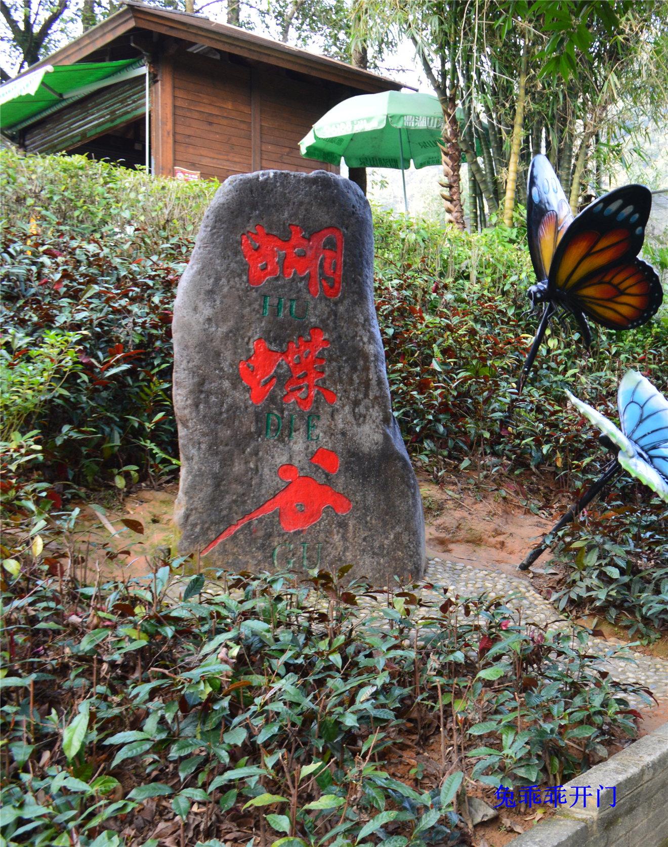 鼎湖山蝴蝶谷游船票成人票-天天周末