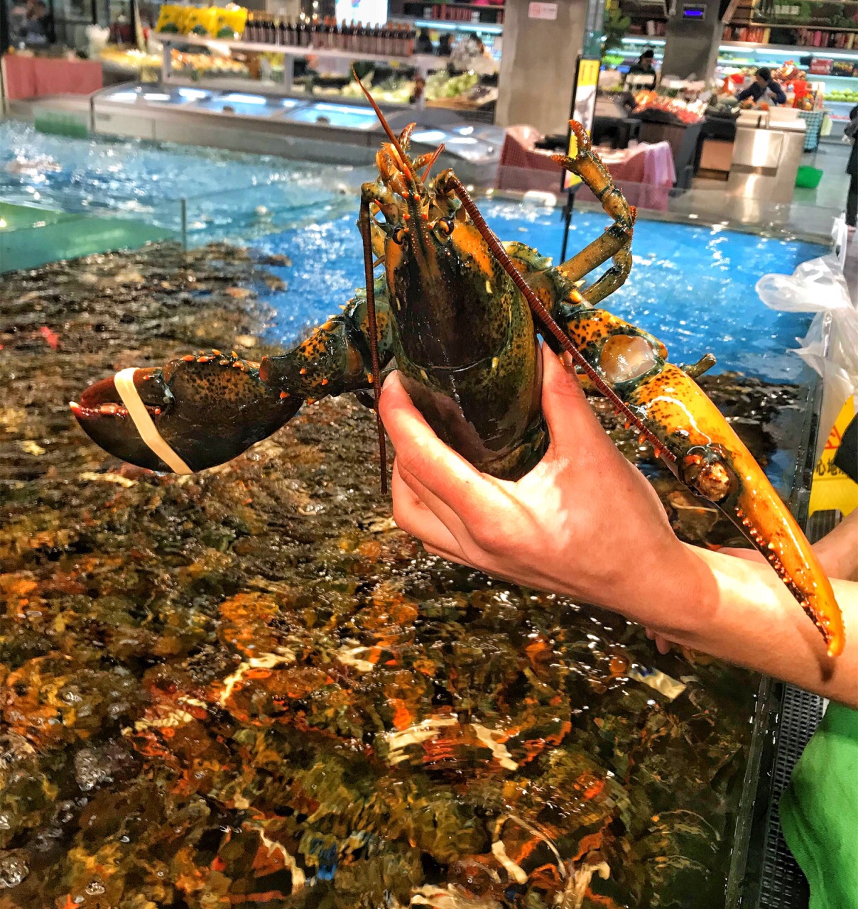 宝燕海鲜超市(大宁店)