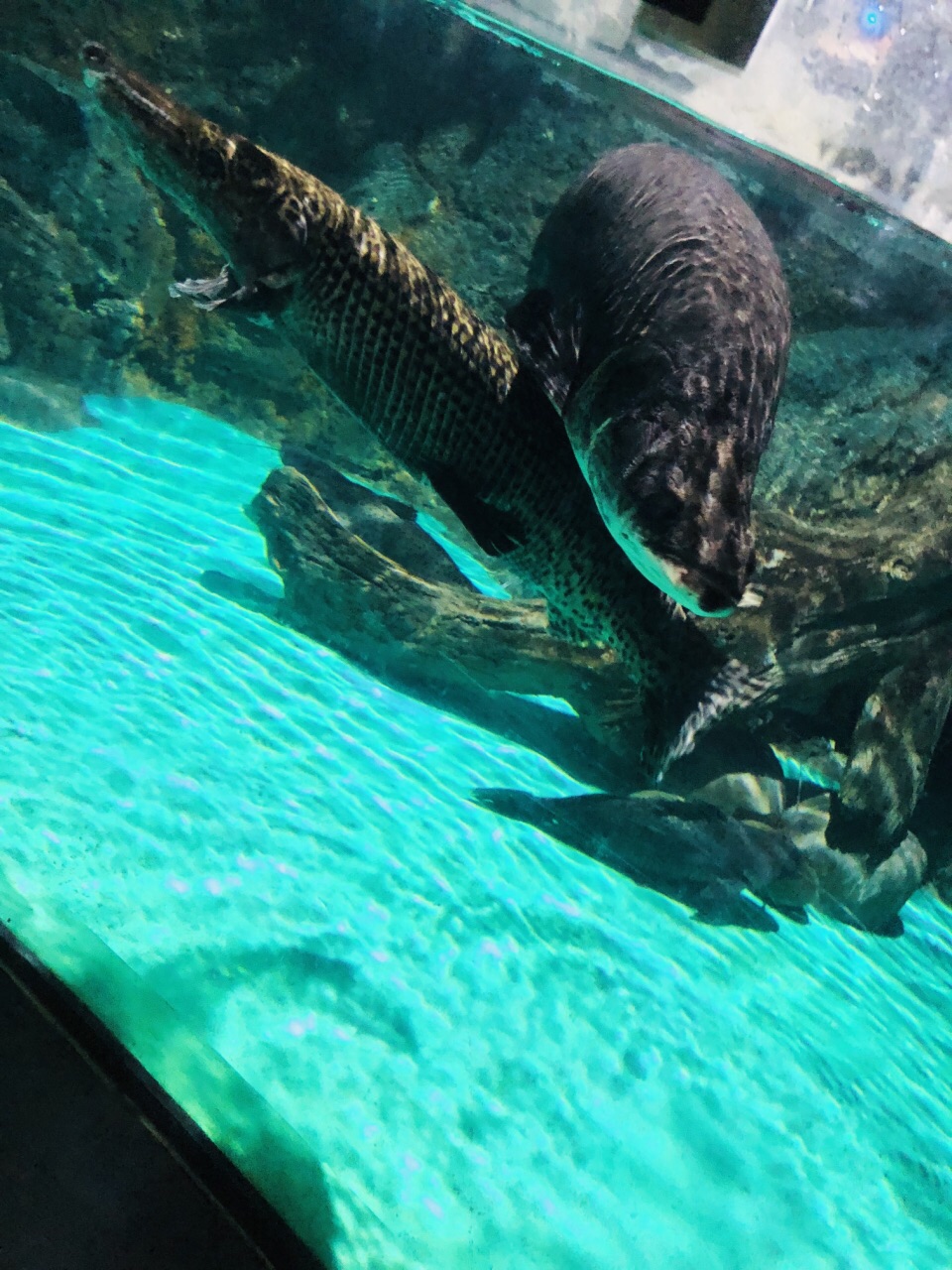 常州金鹰海洋世界