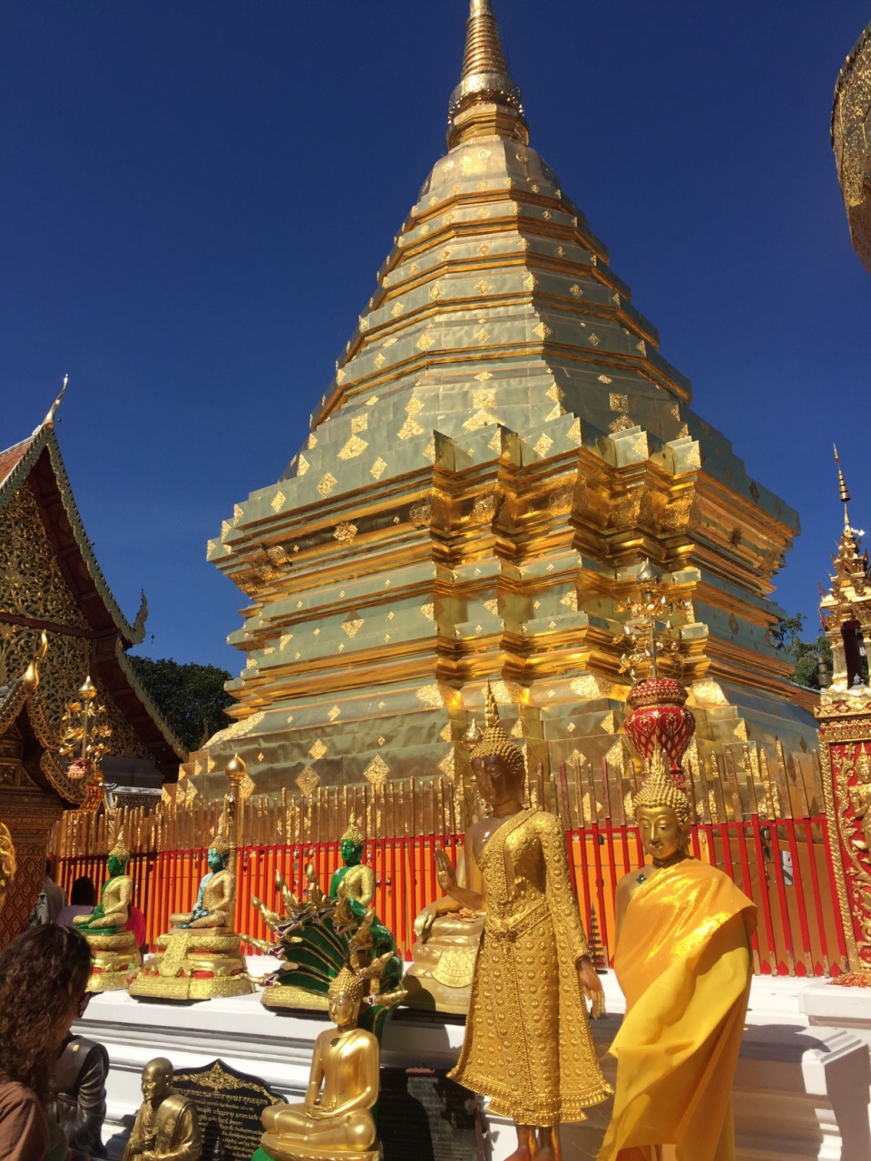 泰国清迈府双龙寺 大佛塔寺 帕辛寺 宁曼路一日游【浓缩清迈之美】