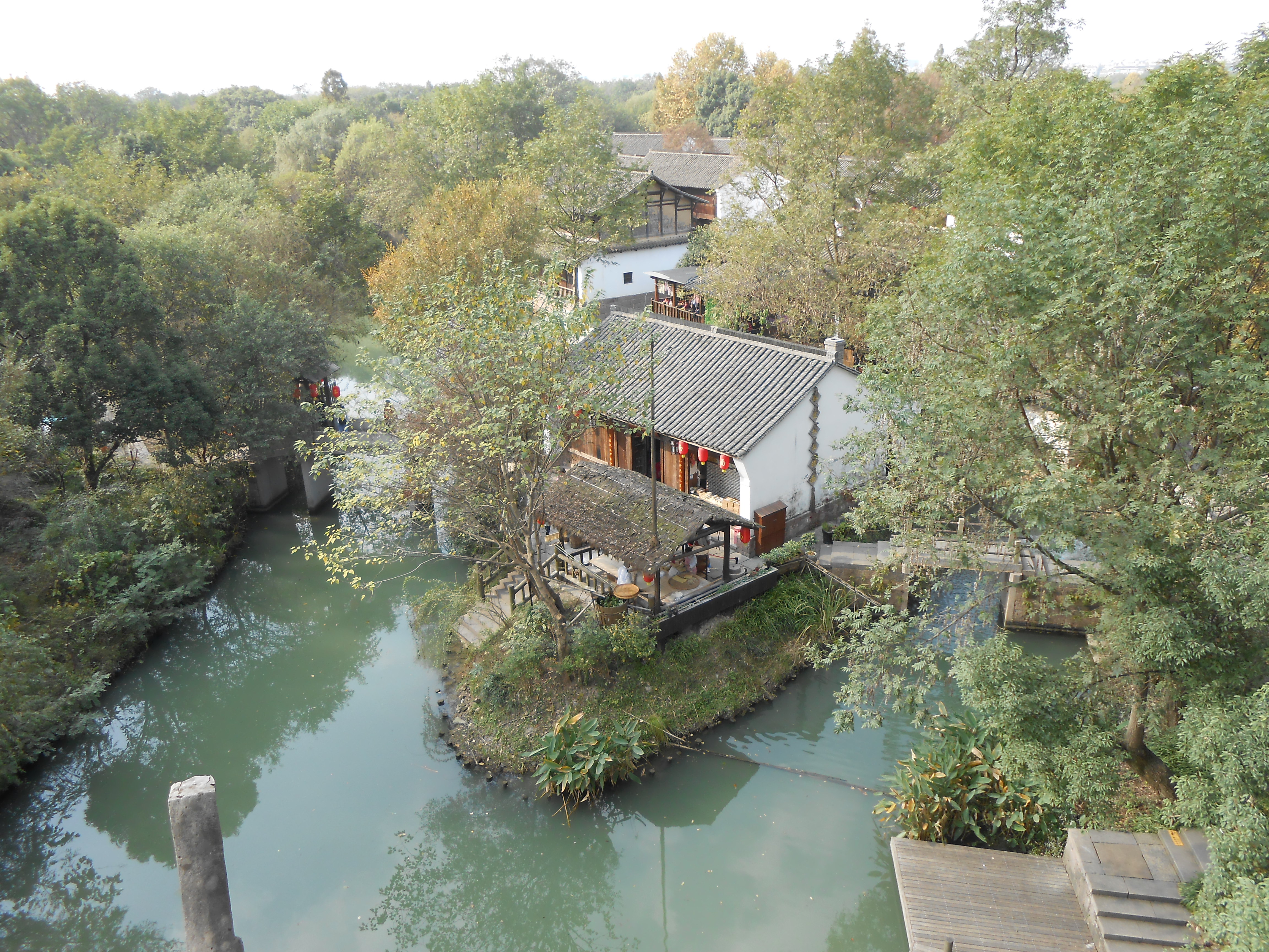 杭州西溪湿地游记图片