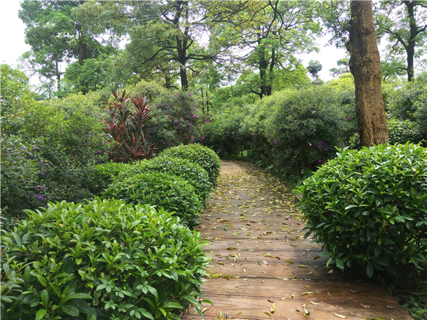 東莞農家樂松湖生態園