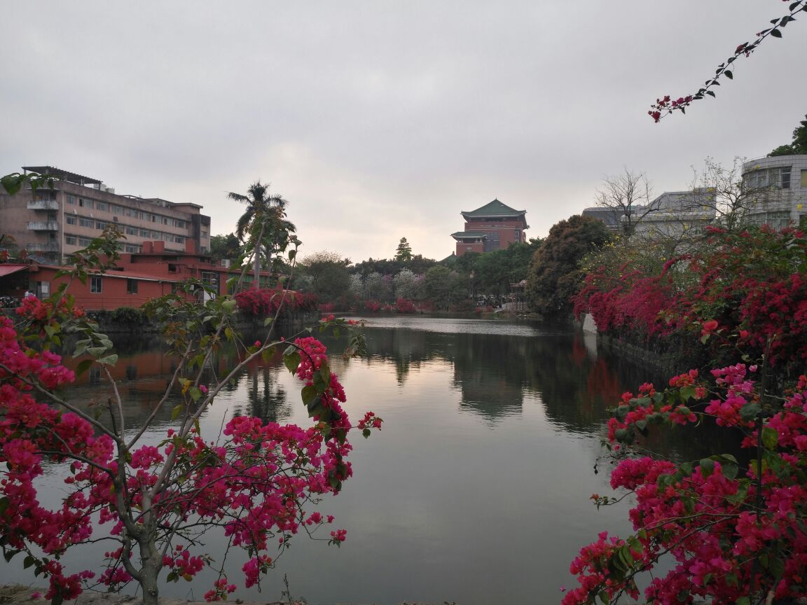 2023华南农业大学-树木园游玩攻略,非周末时间来拍照的人也很多...【去哪儿攻略】