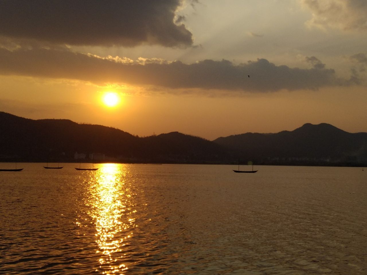 龙鼓滩中华白海豚了望台