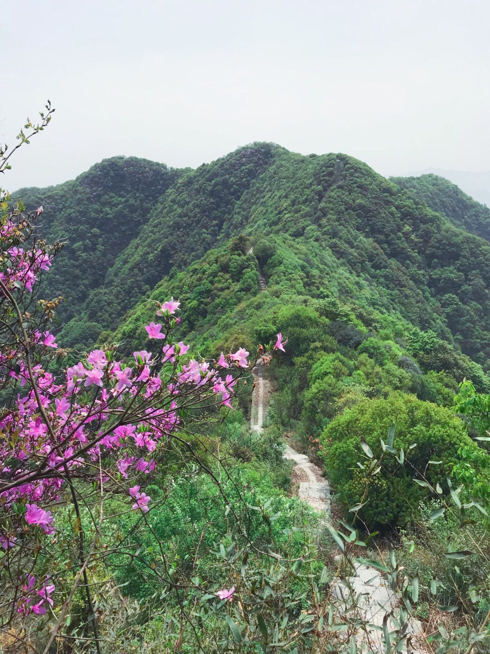 杭州午潮山图片