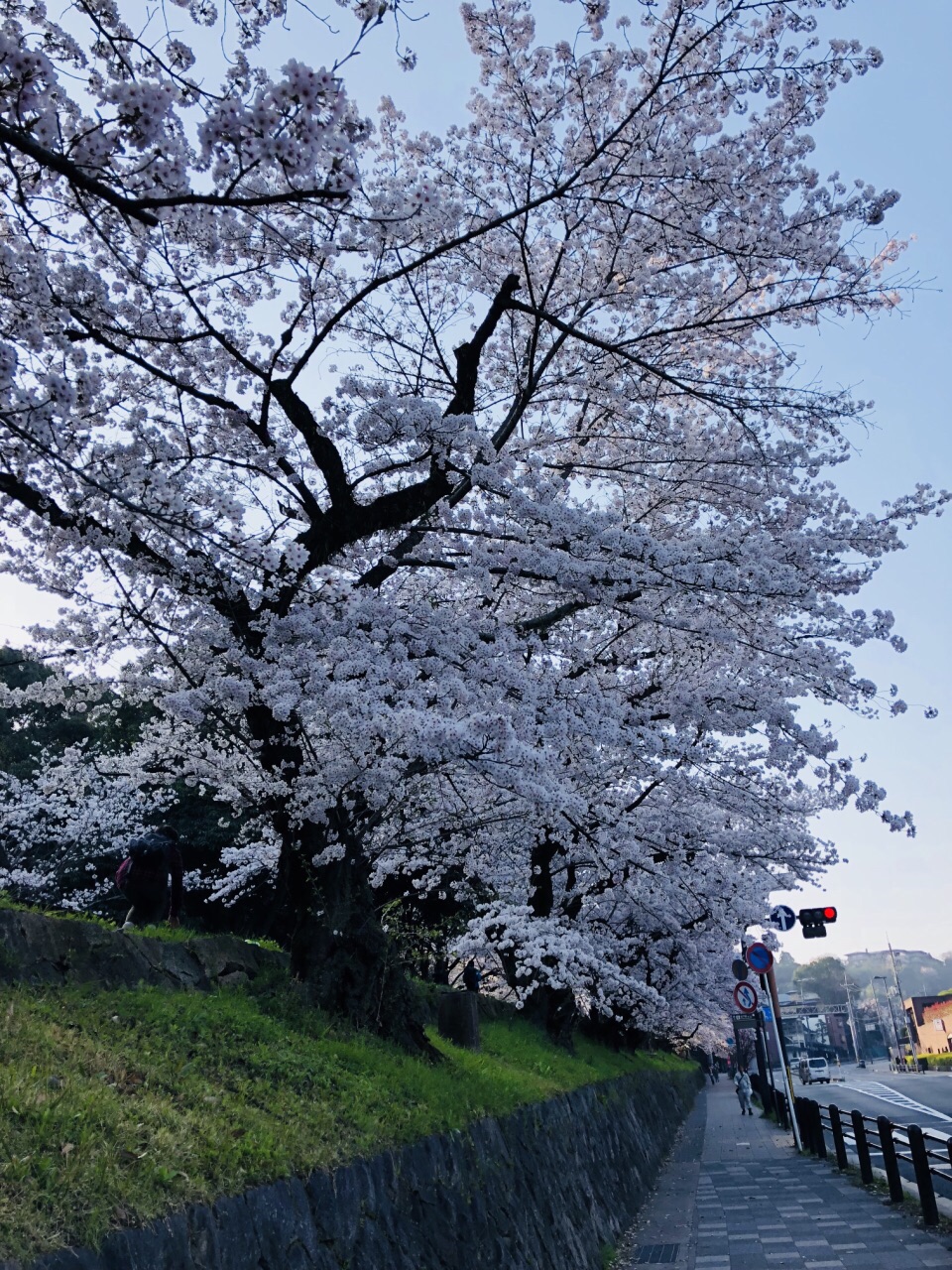 2024蹴上倾斜铁道游玩攻略,.摄影师大半夜就来占机位,.【去哪儿攻略】