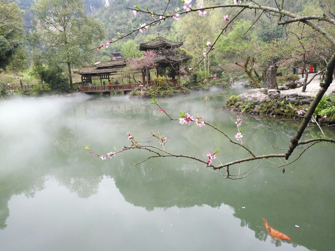 重慶酉陽桃花源好玩嗎,重慶酉陽桃花源景點怎麼樣_點評_評價【攜程