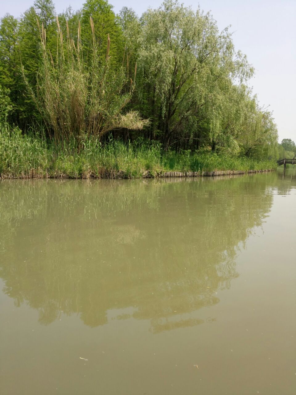 溱湖國家溼地公園