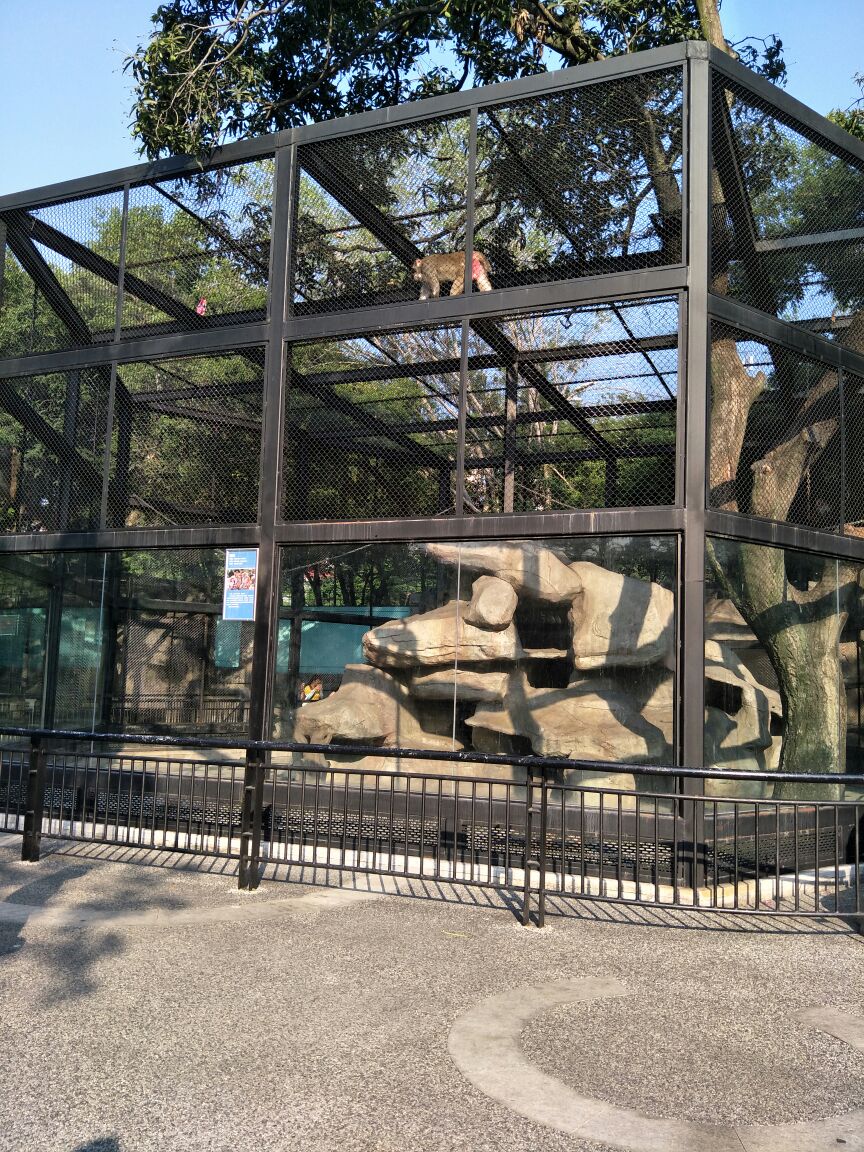 佛山中山公园动物园图片