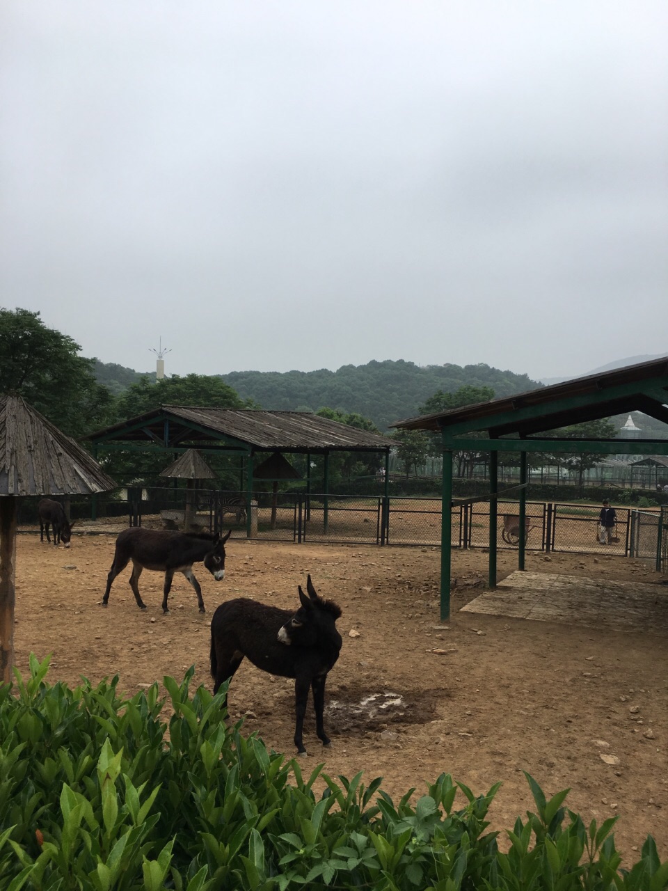 無錫動物園(太湖歡樂園)