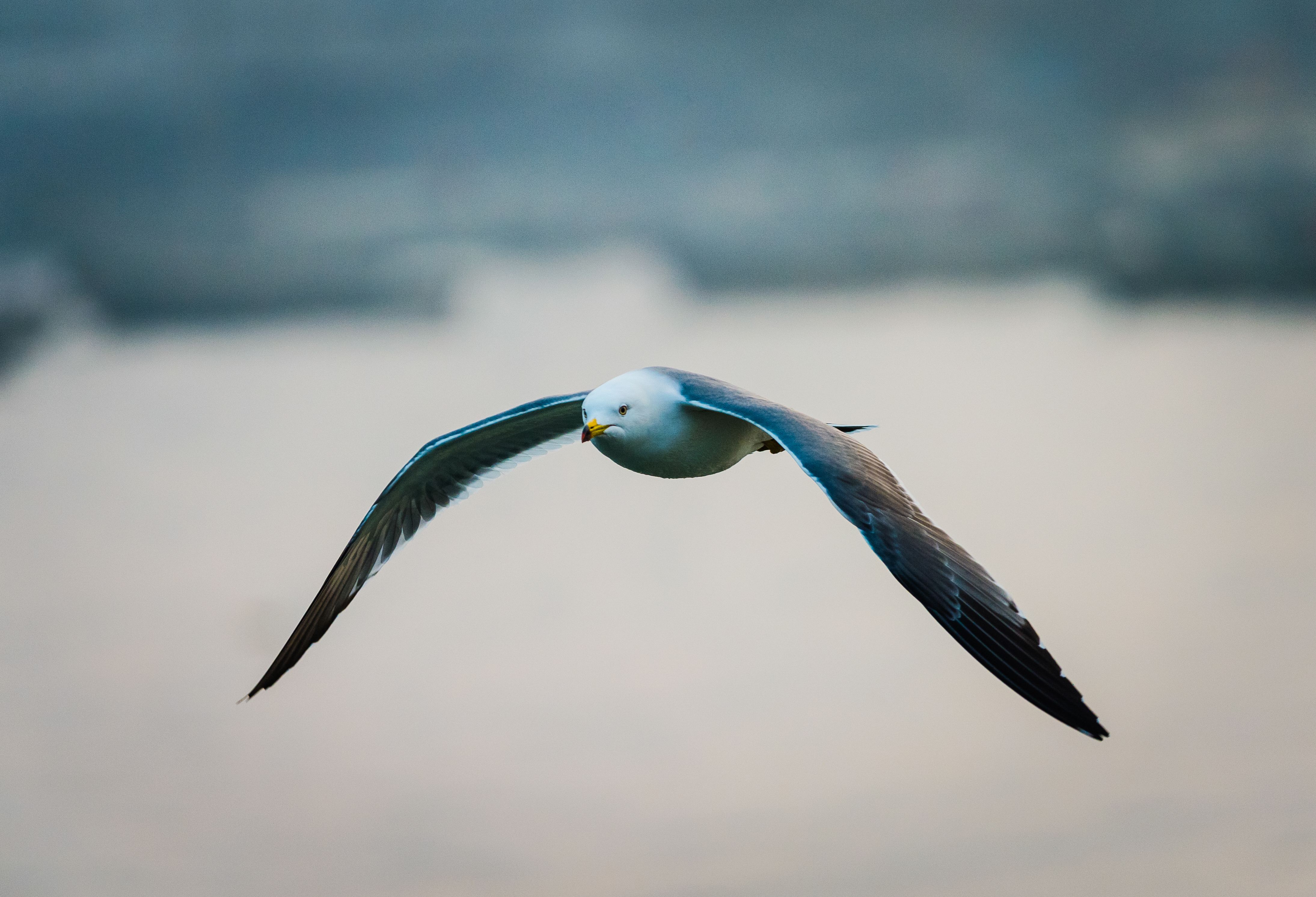 4-Day Weihai Tour: From Weihai Park to Chishan, coastal scenery and ecological charm