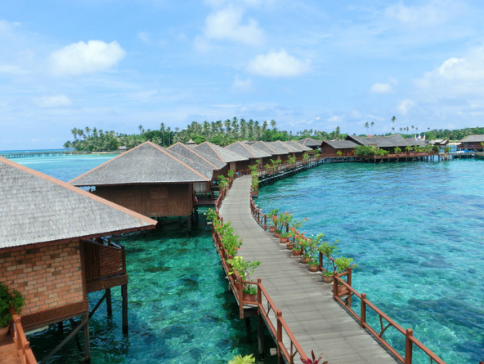 100s0u000000izve7A7DB_R_1024_10000_Q90.png?proc=autoorient