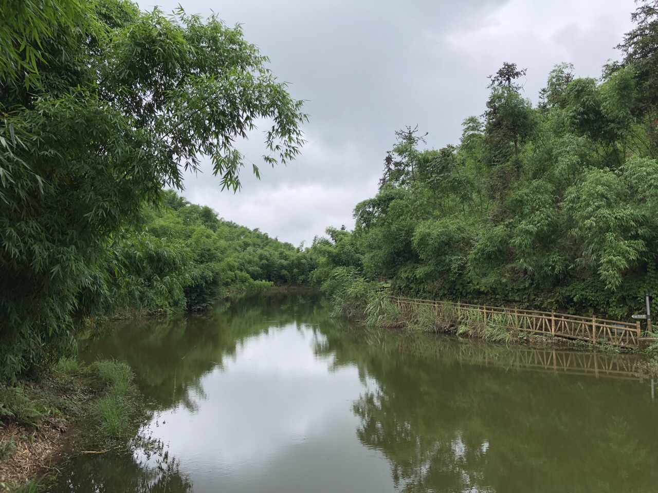 樂山沐川竹海好玩嗎,樂山沐川竹海景點怎麼樣_點評_評價【攜程攻略】