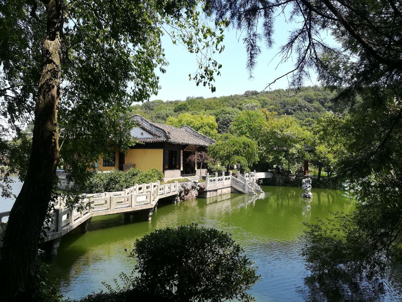 2020鼋渚春涛-旅游攻略-门票-地址-问答-游记点评,无锡旅游旅游景点推