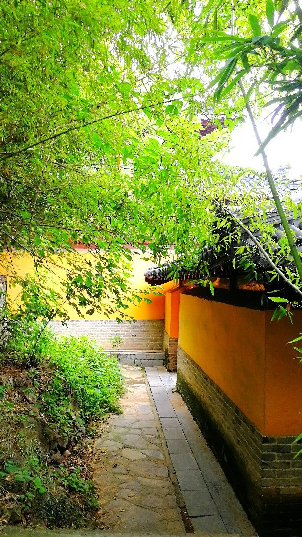 竹林寺徐州八大古寺之一坐落于徐州市和平大桥东首的骆驼山距今已有一