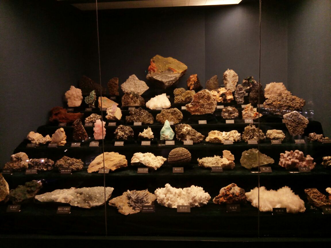 山西地质博物馆