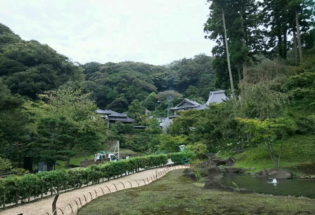 在圆觉寺逗留了半天,发现寺里有很多乌鸦.
