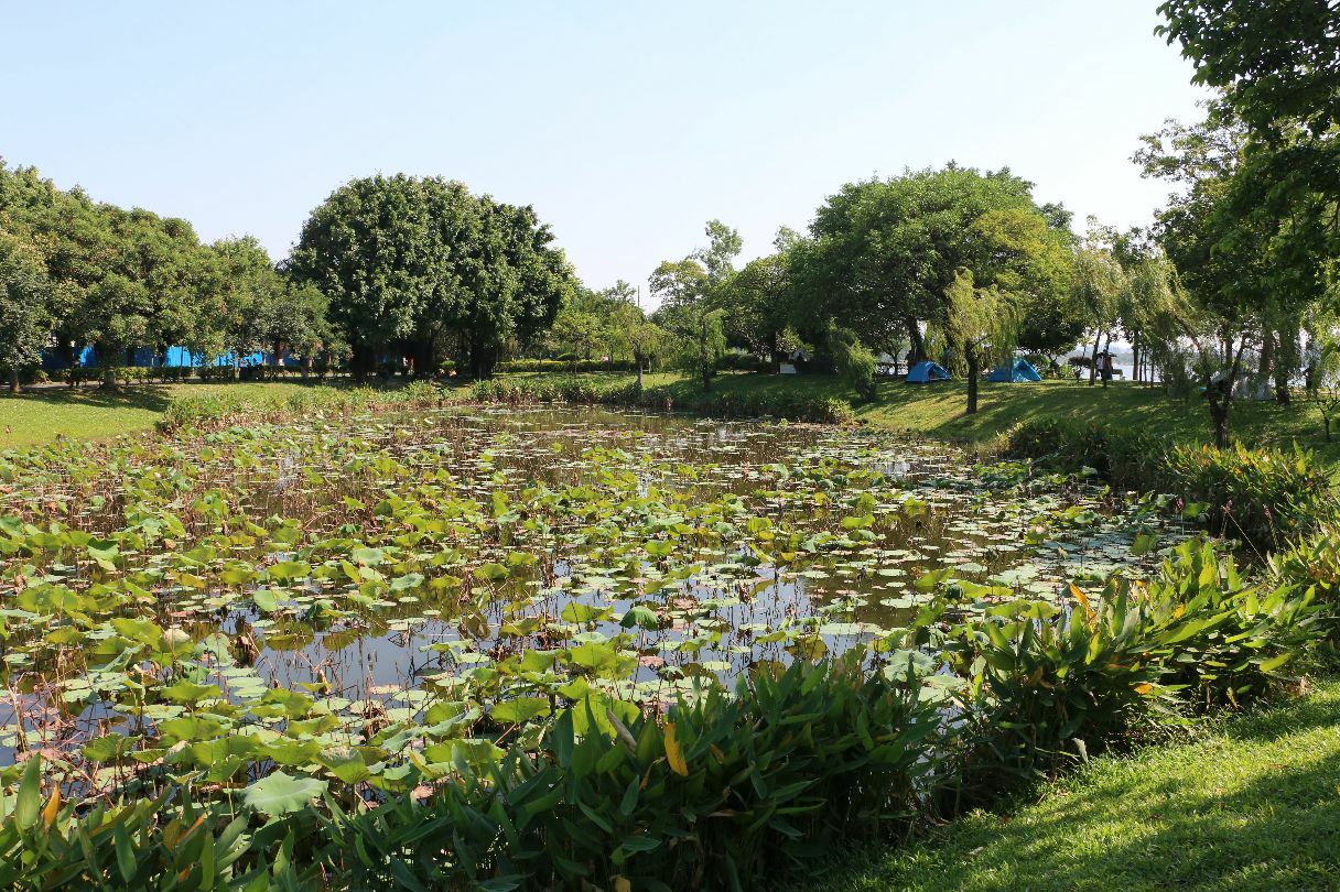 东莞松山湖好玩吗,东莞松山湖景点怎么样_点评_评价【携程攻略】