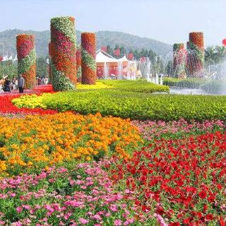漳州东南花都花乐谷魔法奇幻主题公园