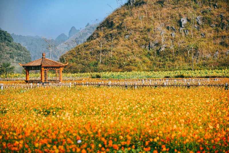 旧州山里江南花海图片