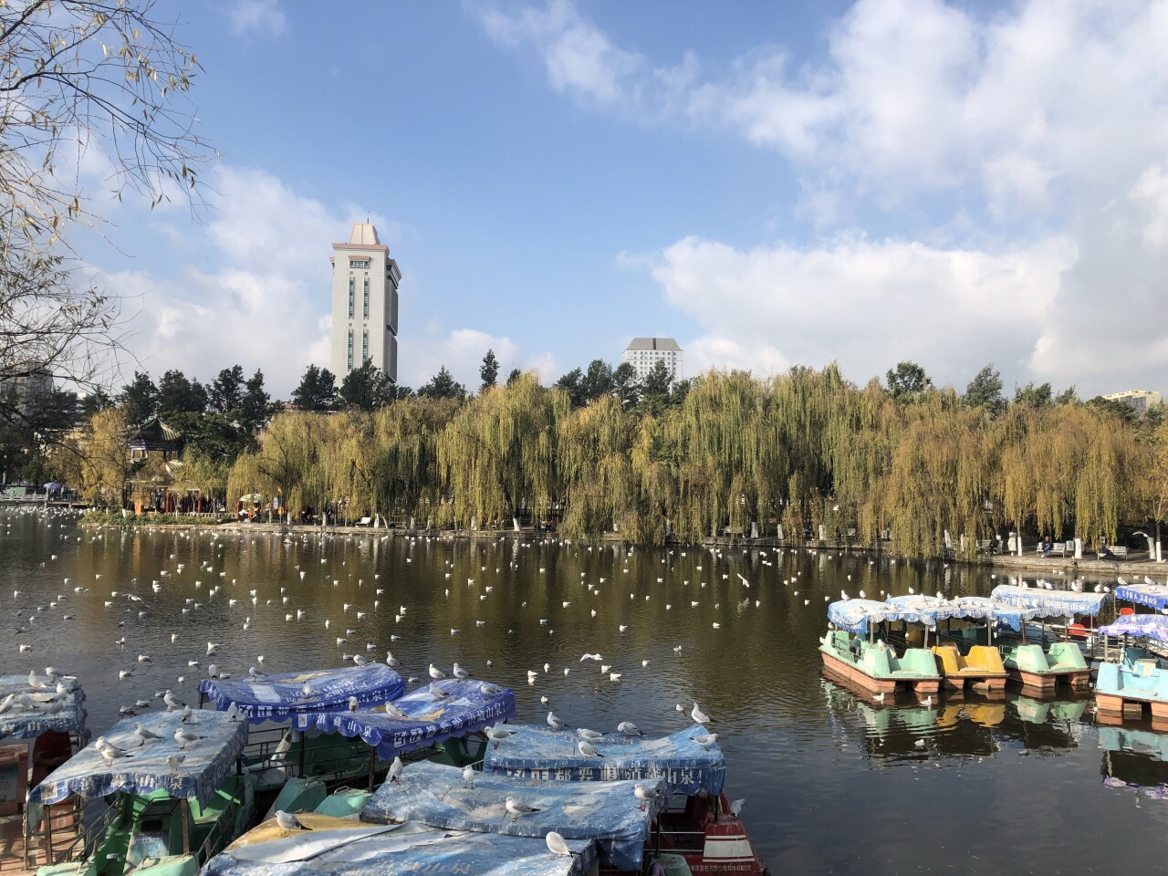 2019翠湖公園_旅遊攻略_門票_地址_遊記點評,昆明旅遊景點推薦 - 去