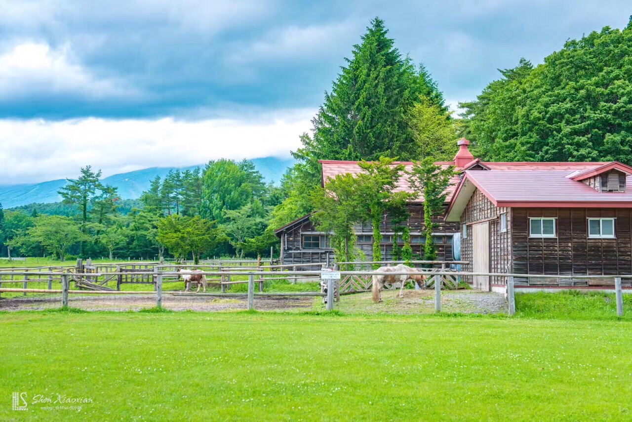 小岩井农场まきば园