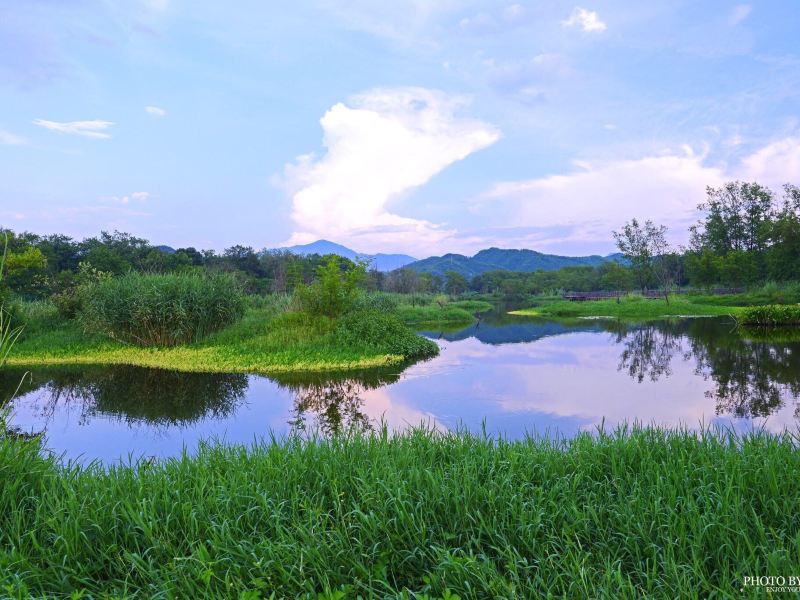 丽水处州公园攻略-处州公园门票价格多少钱-团购票价预定优惠-景点