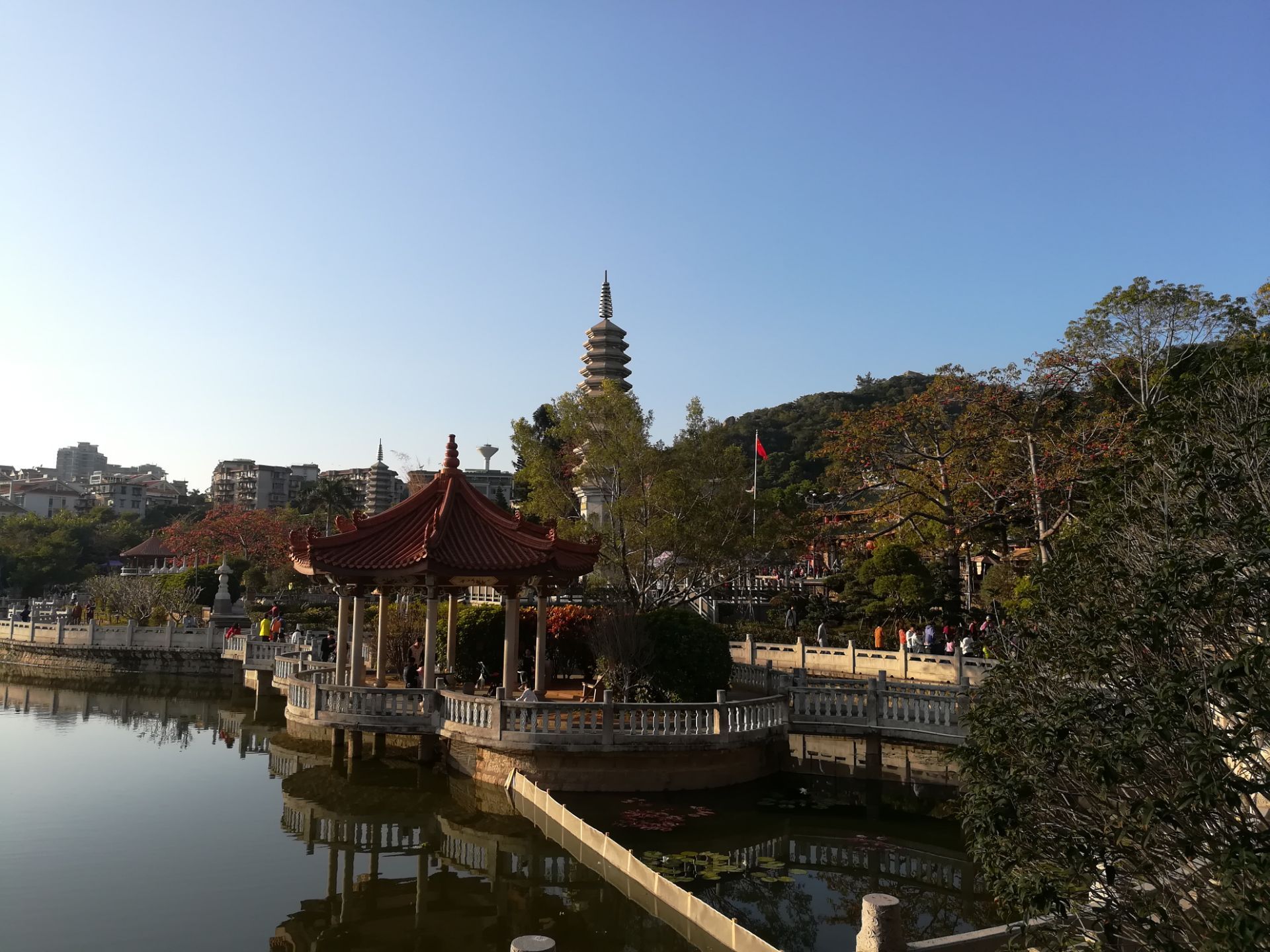 东渡立交公园位于厦门本岛这里的公园经过精心设计是一件美好的艺术品