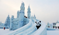 [雪乡游记图片] 东北童话世界  欢乐亲子游