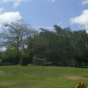 100s13000000v8mvr68AD_C_300_300.jpg