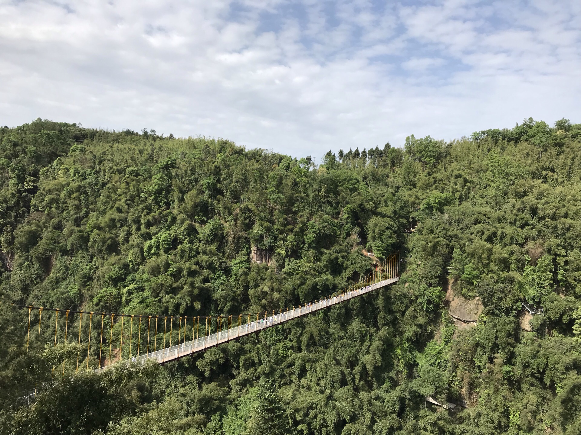 川西竹海景區