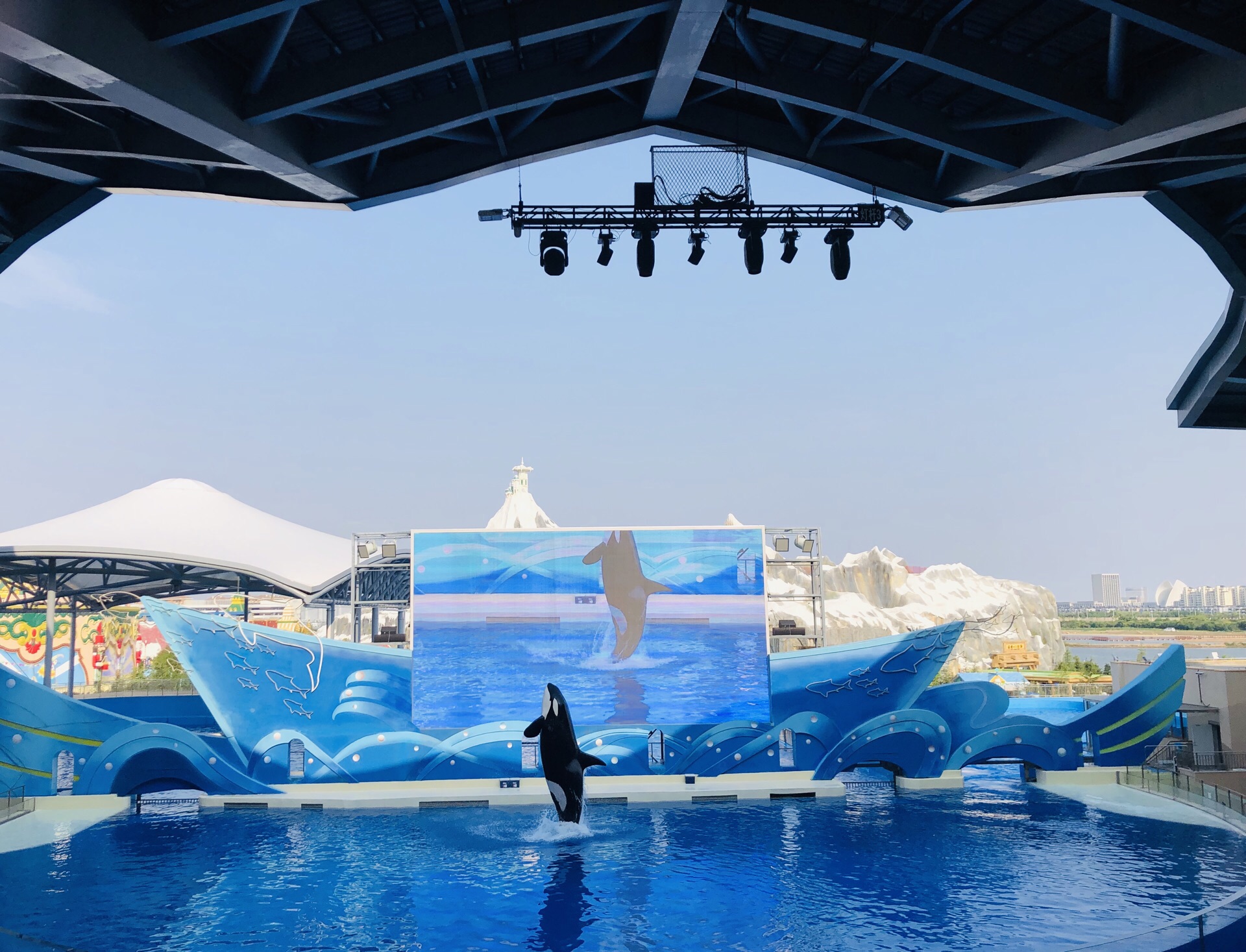 2023海洋剧场游玩攻略,海洋剧场是香港海洋公园最传...【去哪儿攻略】